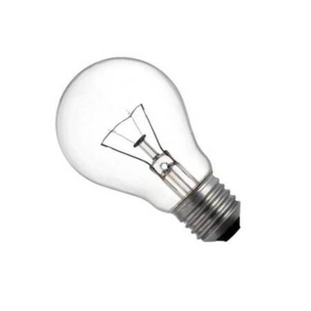 pol_pm_ENERGY-LIGHT-Zarowka-100W-E27-do-celow-specjalnych-3970_1.jpg
