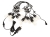 norm_70-297_2.jpg